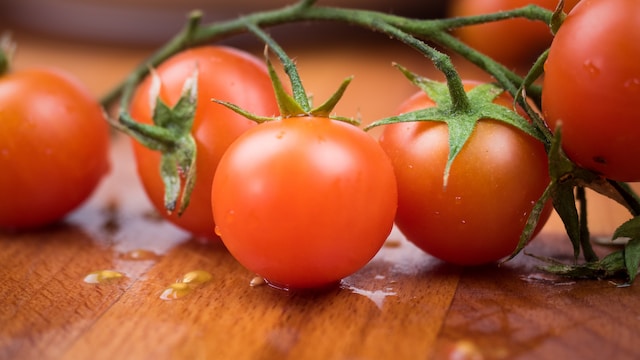 Knowledge seekers blog Mastering the Pomodoro Technique: Boost Your Productivity in Short Bursts